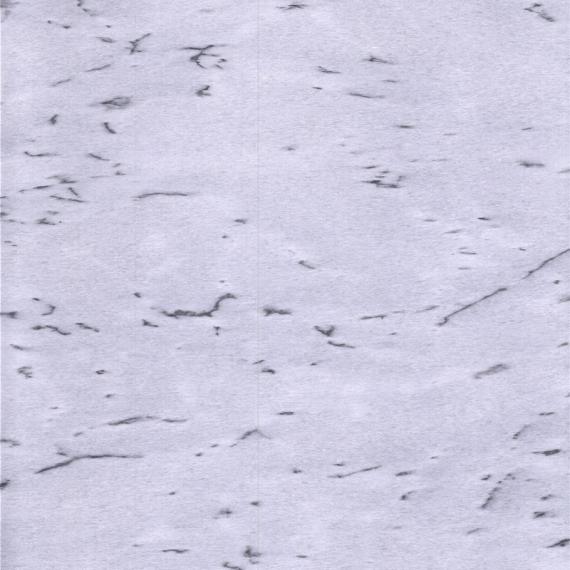 Bahan konstruksi marmer Statuario Putih