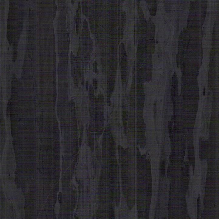 Black glossy white veined floor top wall