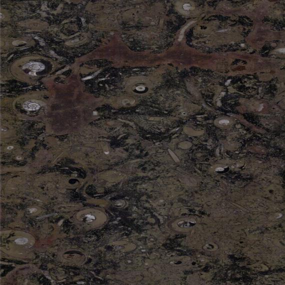 Batu marmer unik untuk rumah mewah