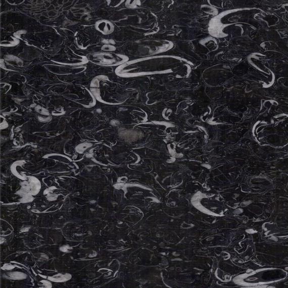 Marmer fosil eksklusif untuk bangunan canggih