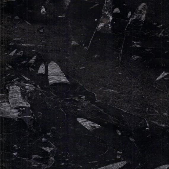 Bahan konstruksi lempengan marmer coklat terbaik