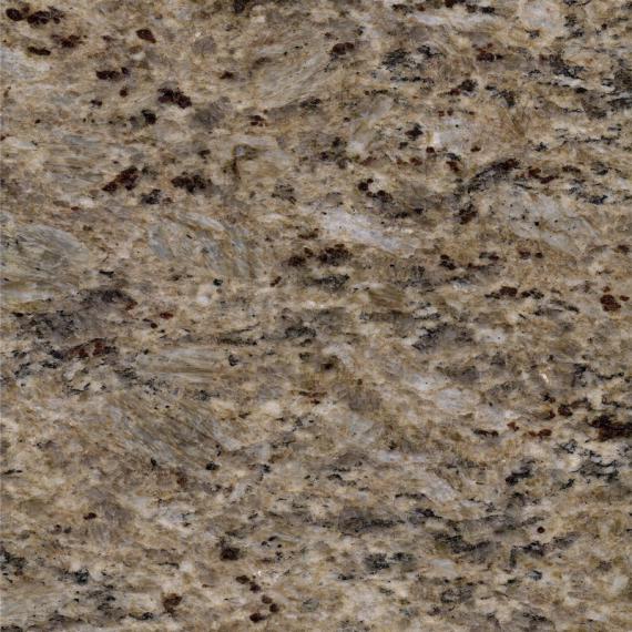 Tanino Gold Grain (2)