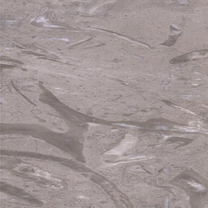 Ekor Phoenix Abu-abu