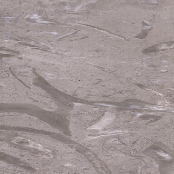 Ekor Phoenix Abu-abu