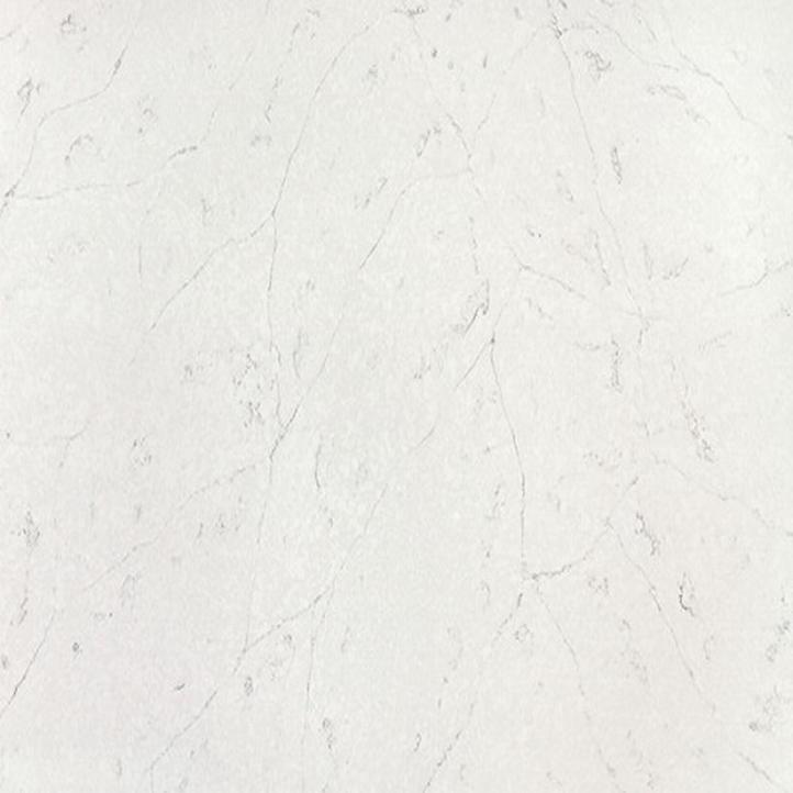 Quartz with fossiliferous pattern and texture