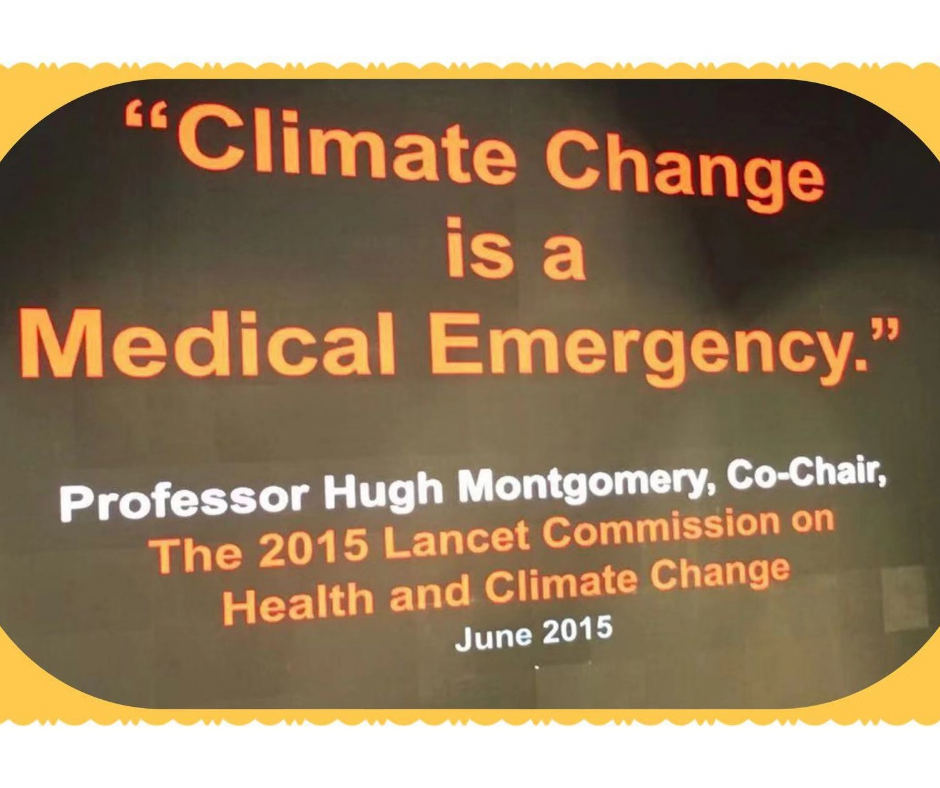 Pengamatan Angela. Realitas Iklim: Merancang untuk Perubahan Iklim dan Pertanian—Menggabungkan Pertanian Perkotaan dan Desain Arsitektur Modern